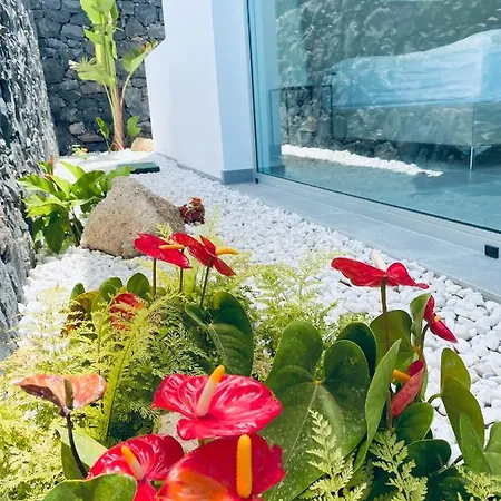 Rocavista - With Heated Rooftop Pool And Amazing Ocean View Costa Adeje (Tenerife)