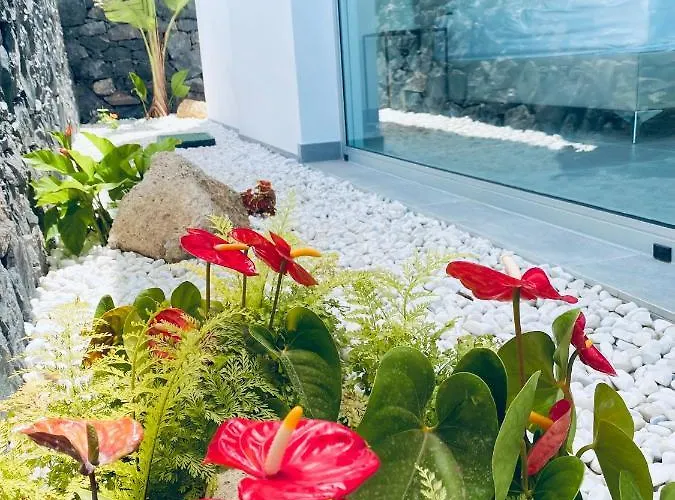 Rocavista - With Heated Rooftop Pool And Amazing Ocean View Адехе