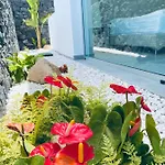 Rocavista - With Heated Rooftop Pool And Amazing Ocean View 阿德耶
